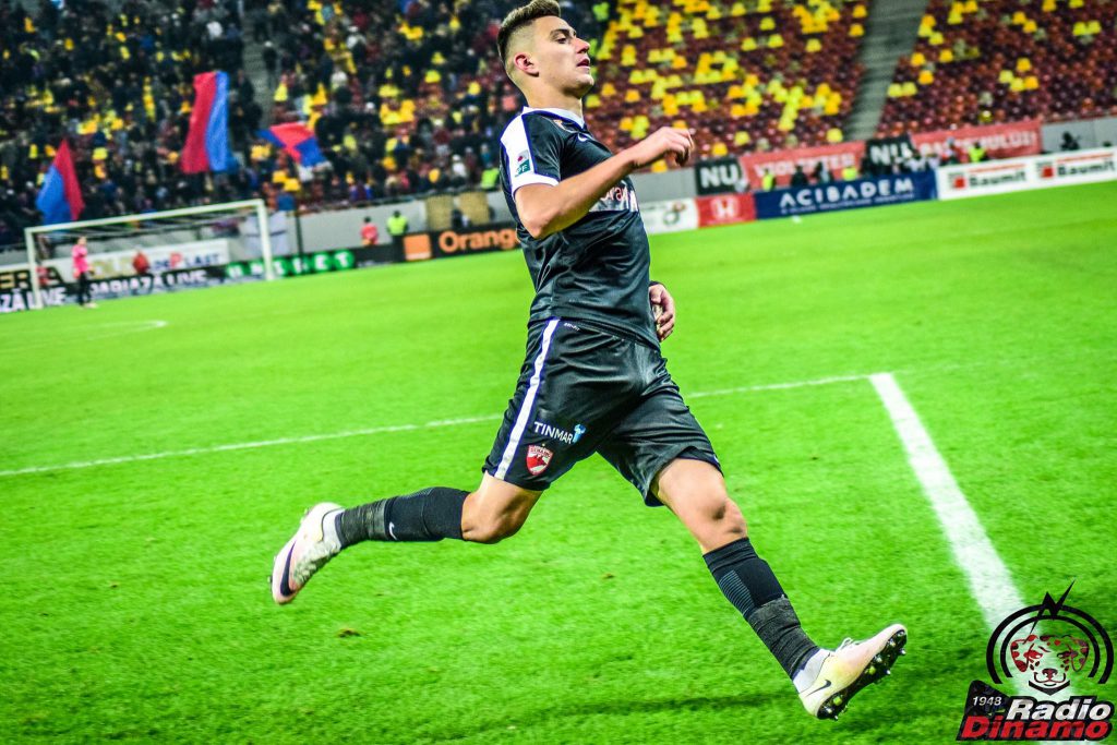 Ionut Nedelcearu