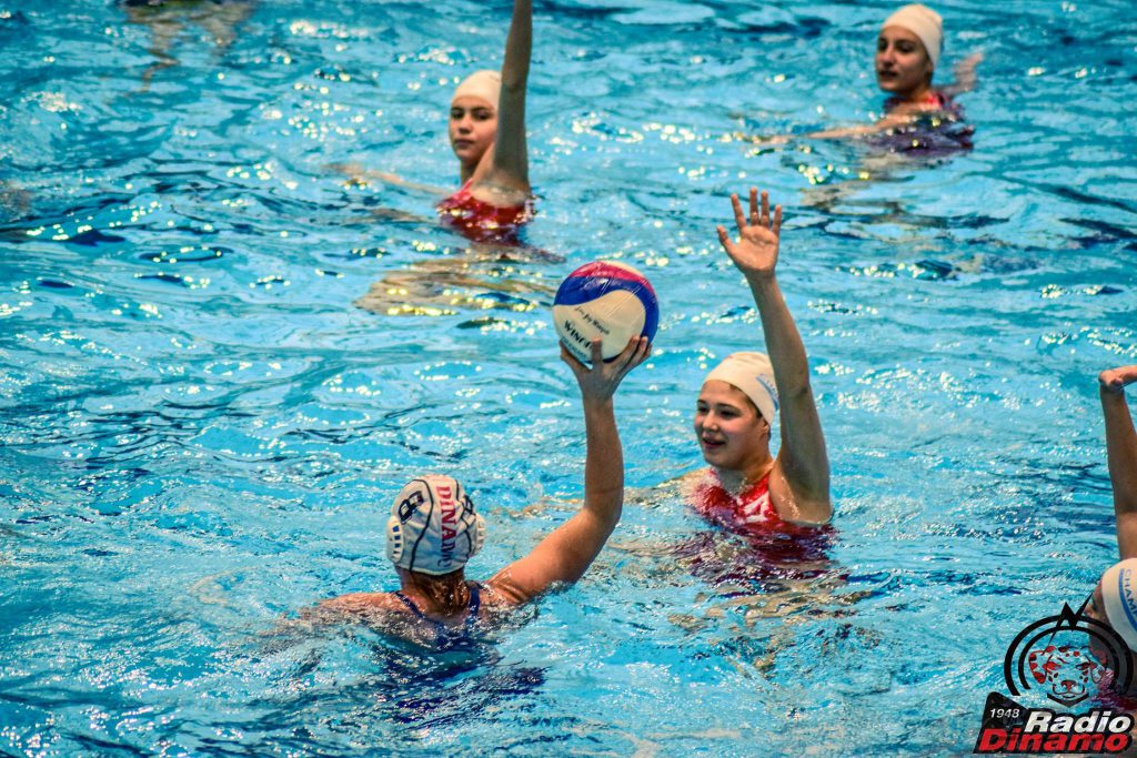 Polo Dinamo
