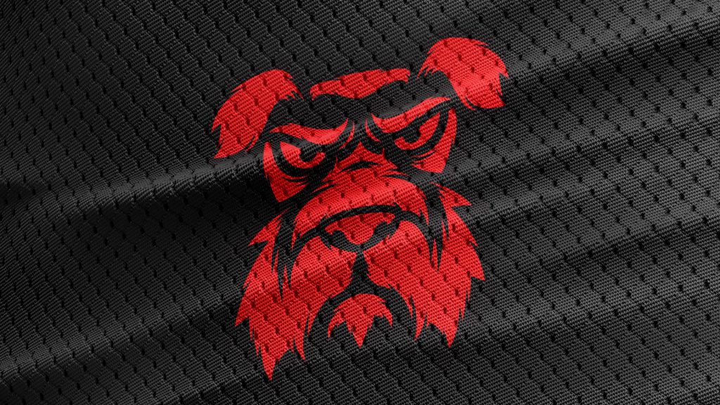 RED POWER IS BACK BASCHET