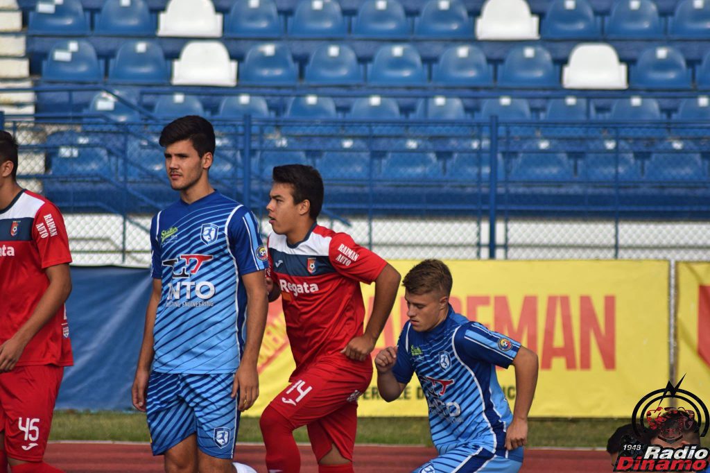 Mihai Neicutescu