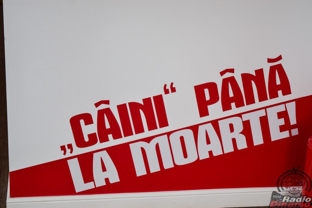 Cantonament Saftica Dinamo