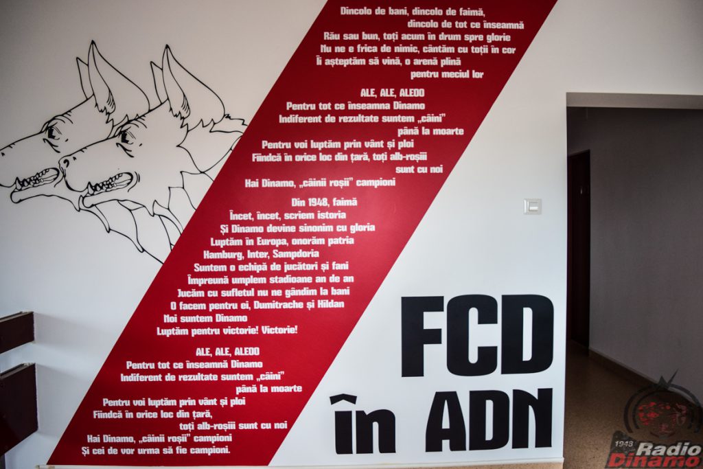 Cantonament Saftica Dinamo