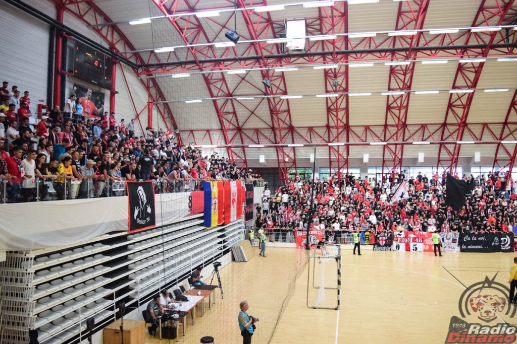 Handbal Dinamo