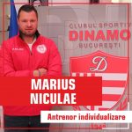 Marius Niculae ar putea reveni la Dinamo