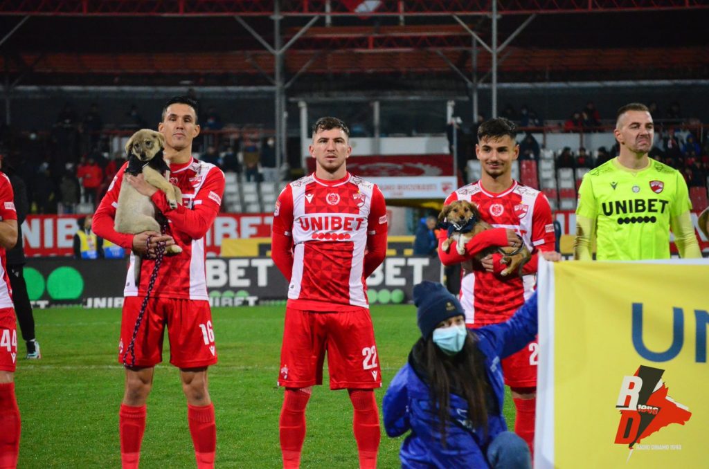 Sorescu Dinamo Mioveni