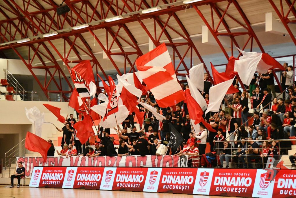 Dinamo Vaslui Handbal